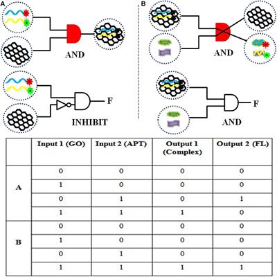 Graphene-Based Steganographic Aptasensor for Information Computing and Monitoring Toxins of Biofilm in Food